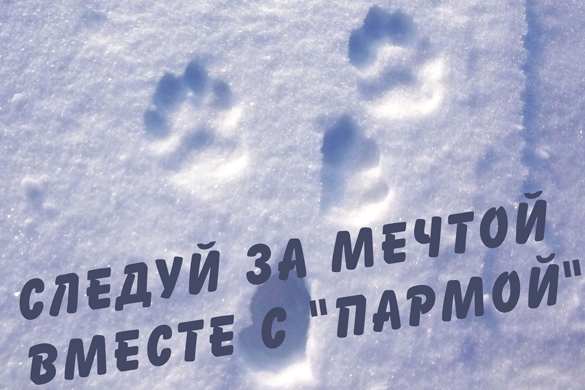 Стоимость проживания и цены на услуги
